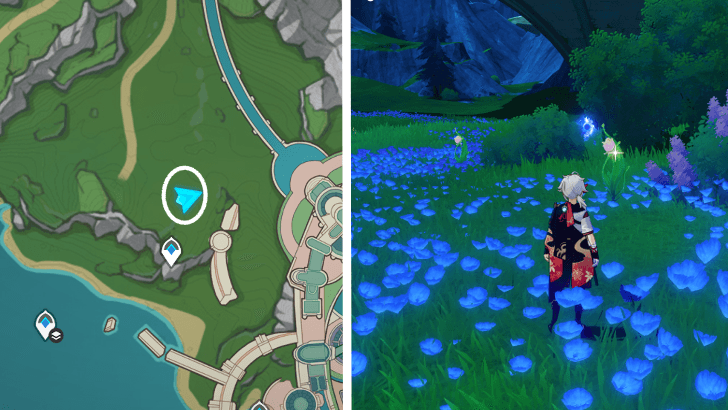 Genshin - Rainbow Rose 35-36