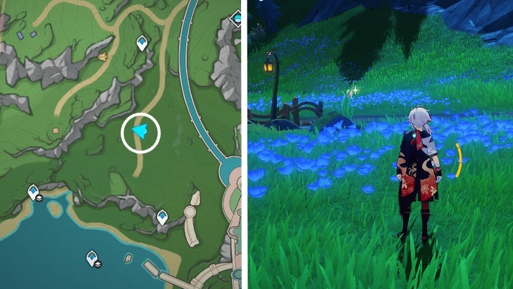 Genshin - Rainbow Rose 44