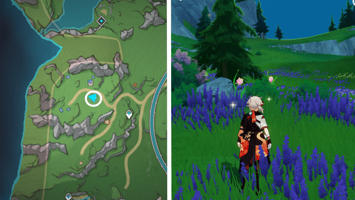 Genshin - Rainbow Rose 48-49