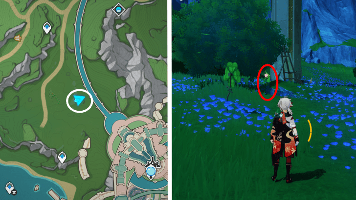 Genshin - Rainbow Rose 43