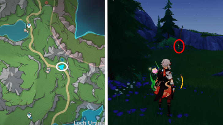 Genshin - Rainbow Rose 80-81