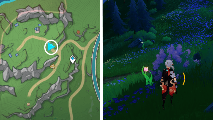 Genshin - Rainbow Rose 45-46