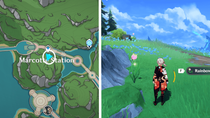 Genshin - Rainbow Rose 63-64