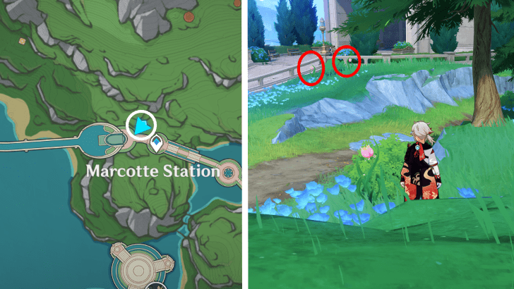 Genshin - Rainbow Rose 60-62