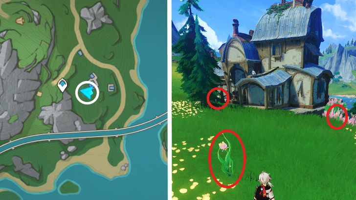 Genshin - Rainbow Rose 5-7