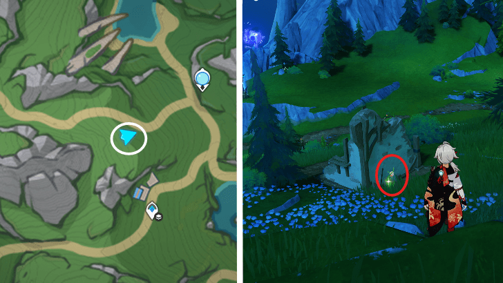 Genshin - Rainbow Rose 23