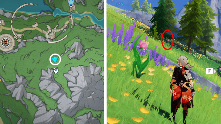 Genshin - Rainbow Rose 76-77