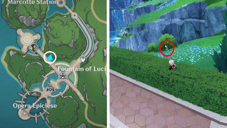 Genshin - Rainbow Rose 73