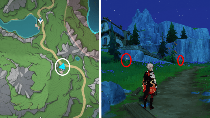 Genshin - Rainbow Rose 78-79