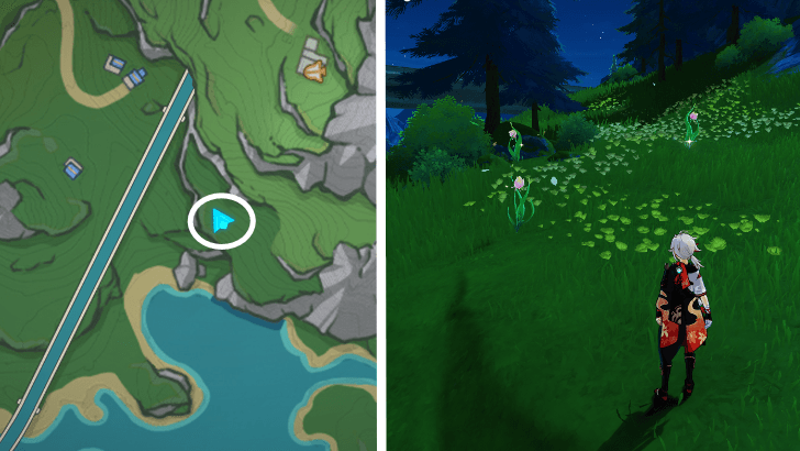 Genshin - Rainbow Rose 14-16