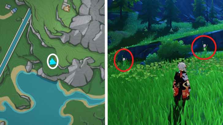 Genshin - Rainbow Rose 12-13