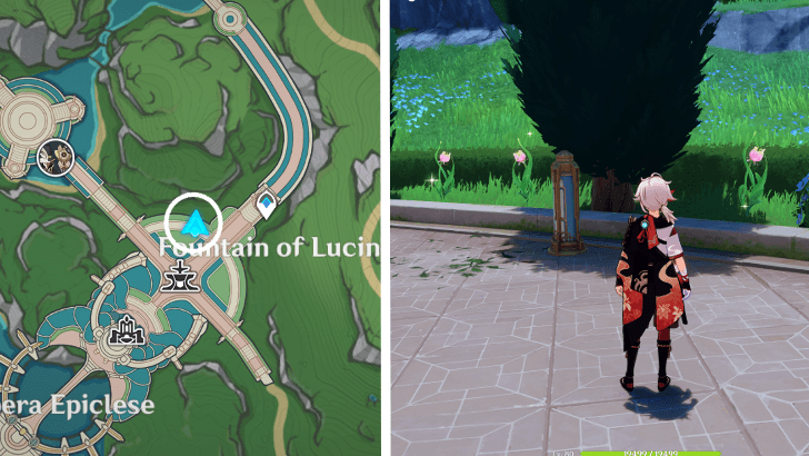 Genshin - Rainbow Rose 68-70