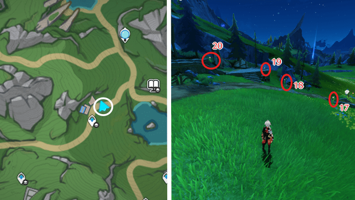 Genshin - Rainbow Rose 17-20