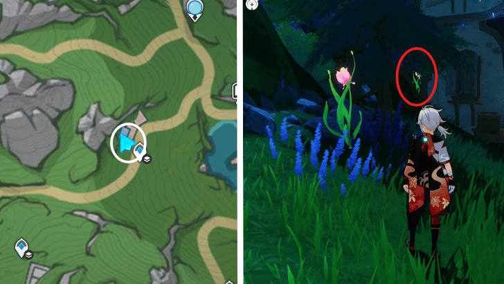 Genshin - Rainbow Rose 21-22