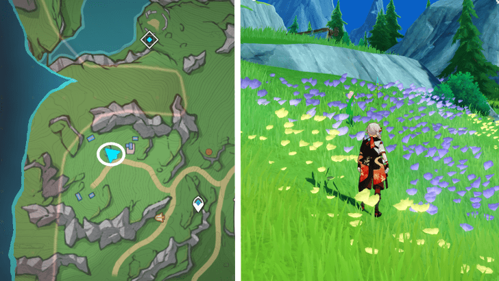 Genshin - Rainbow Rose 57