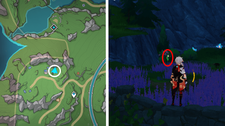 Genshin - Rainbow Rose 47