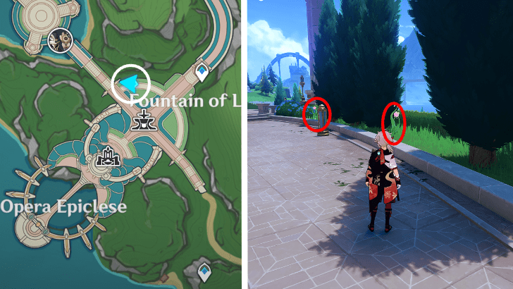 Genshin - Rainbow Rose 71-72