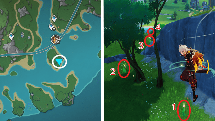 Genshin - Rainbow Rose 1-4