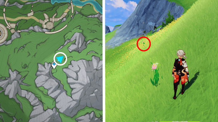 Genshin - Rainbow Rose 74-75