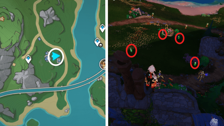 Genshin - Rainbow Rose 8-11