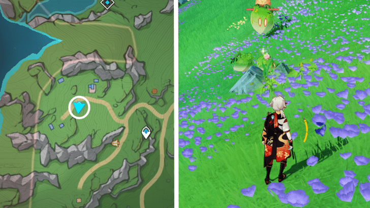 Genshin - Rainbow Rose 56