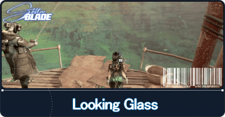 Looking Glass.png