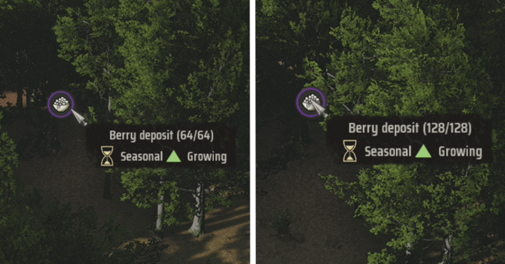 Manor Lords - Forest Management Doubles Berry Deposits