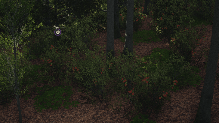 Manor Lords - Berries