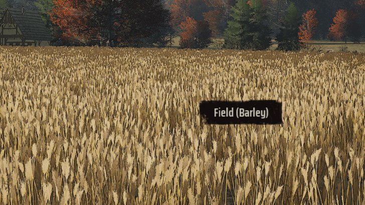 Manor Lords - Barley