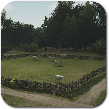 Pasture Icon