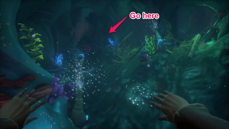 Sea of Thieves - The Sunken Pearl - Head to the Far Corner