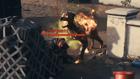 Kill Sergeant with Dog