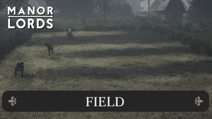 Manor Lords - How to Use Fields