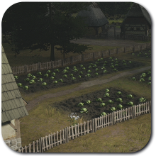 Vegetable Garden Icon