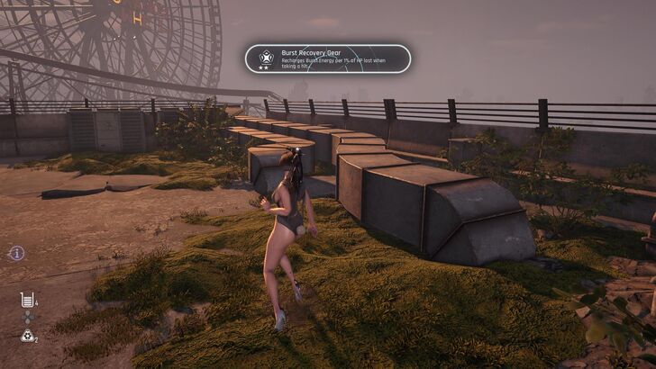 Burst recovery Gear.jpg