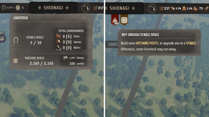 Manor Lords - Not Enough Stable Space Bug