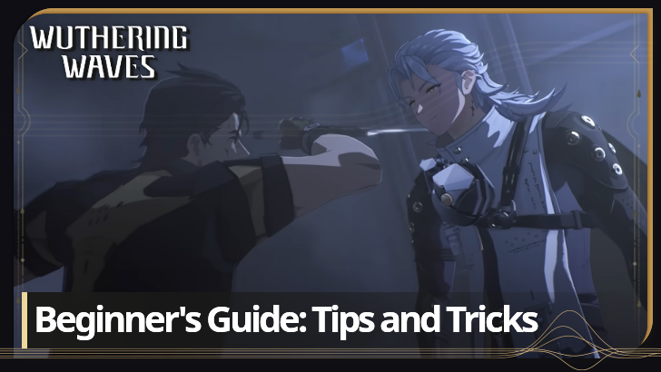 Wuthering Waves - Beginner