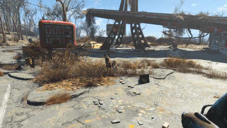 Fallout 4 - Bring Companion With You