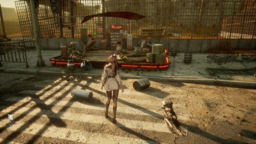 Debris-filled Entryway