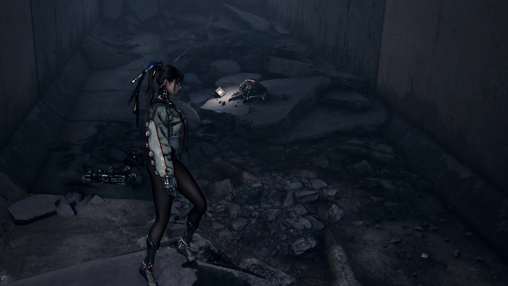 Stellar Blade - Legionnaire 248