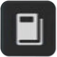 Stellar Blade - Light of the Colony Icon