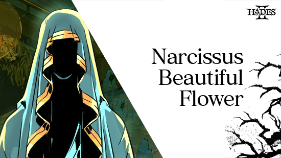 Hades 2 - Narcissus Boons and Gameplay Tips