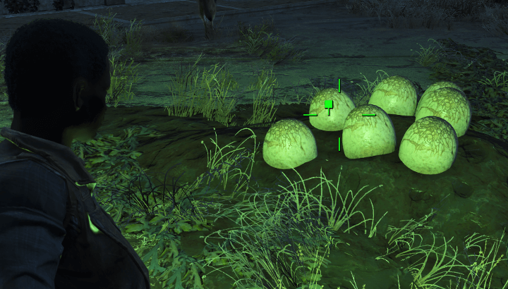 Fallout 4 - Destroy the Eggs