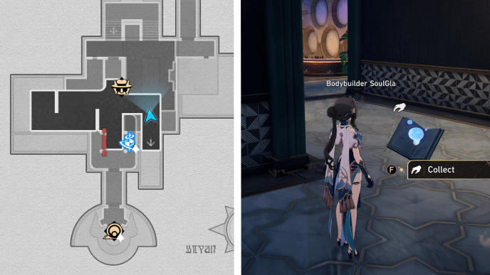 Honkai Star Rail - Knight of Beauty Contestant