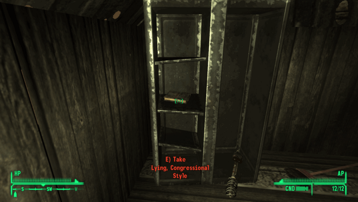 Fallout New Vegas -World View