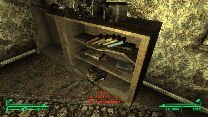 Fallout New Vegas -World View