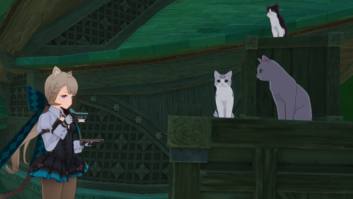 Genshin - Cat Information