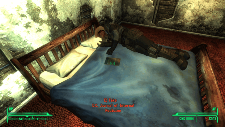 Fallout New Vegas -World View