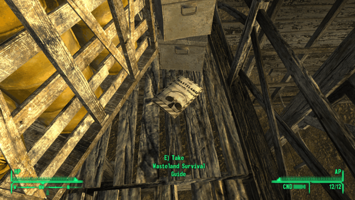 Fallout New Vegas -World View