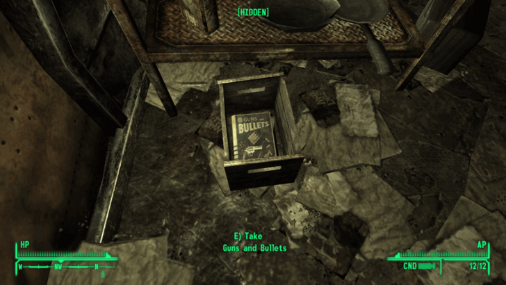 Fallout New Vegas -World View